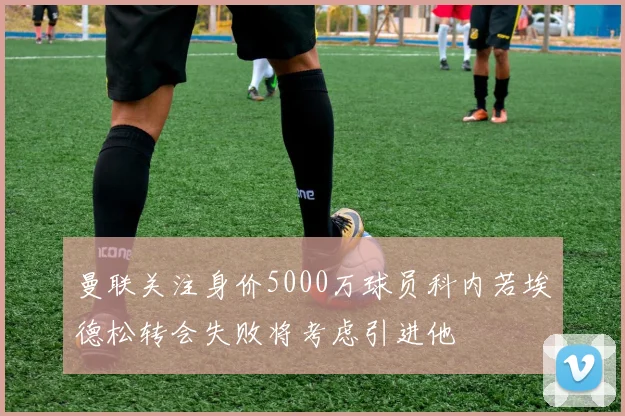曼联关注身价5000万球员科内若埃德松转会失败将考虑引进他