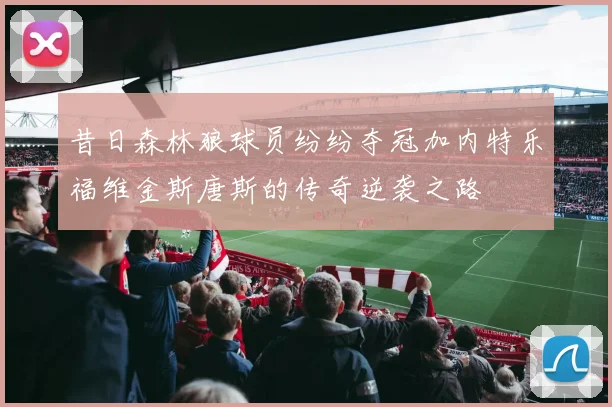 昔日森林狼球员纷纷夺冠加内特乐福维金斯唐斯的传奇逆袭之路